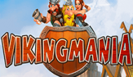 Игровой аппарат Vikingmania